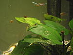 DSCF0236