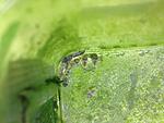 IMG 0790