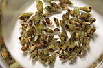 IMG 9192