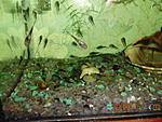 IMG 5634
