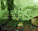 IMG 5595