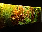 P3060016