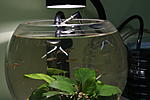 IMG 8740