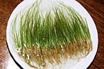 IMG 8488