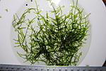 IMG 8853
