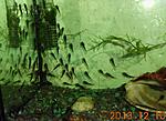 IMG 5596