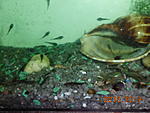 IMG 5570