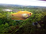 IMG 20131207 194702