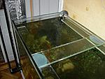DSCN7504