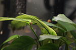 IMG 8721
