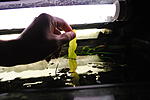 DSC 0309