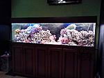 IMG 20131121 184715