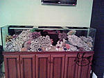 IMG 20131121 174248