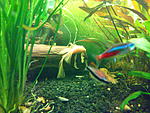IMG 20131208 162311