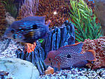 IMG 20131205 174436