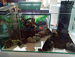 IMG 20131027 124353