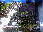 IMG 20131105 162928