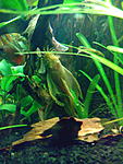 IMG 20131208 162451