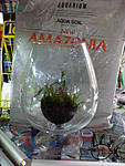 IMG 20131120 125810