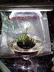 IMG 20131120 130459