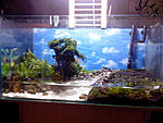 IMG 20131105 162948