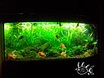 IMG 20131125 170238