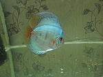 IMG 4717