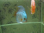IMG 4716