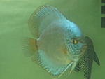 IMG 4730