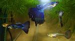 user1592 pic3021 1305629808