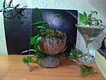 IMG 20131024 145118 1