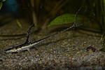 DSC0792[1]