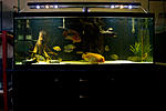 20131115 IMG 3845