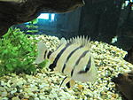 IMG 4488