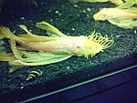 IMG 20131229 181512