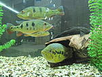 IMG 4685