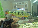 IMG 4675