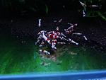 DSCF5064