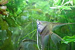 IMG 4782