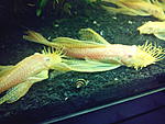 IMG 20131229 181524