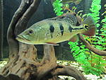 IMG 4498