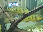 IMG 4679