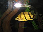 IMG 4501