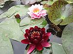 IMG 3789