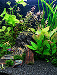 DSCN2405