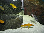IMG 6173