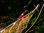 DSCF5037