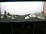 P1140454