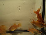 DSC05350