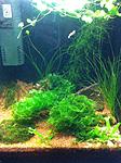 IMG 4311